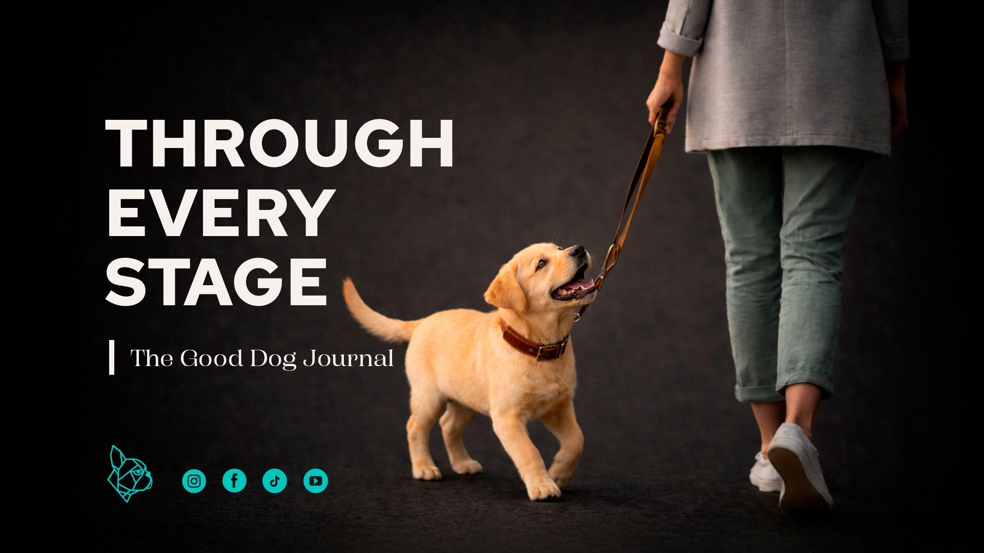 A Life Shared With Dogs