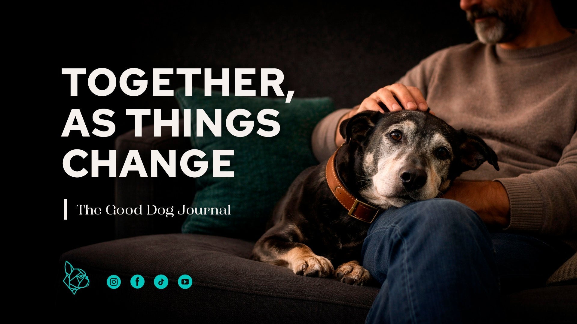 Caring for Dogs as They Age