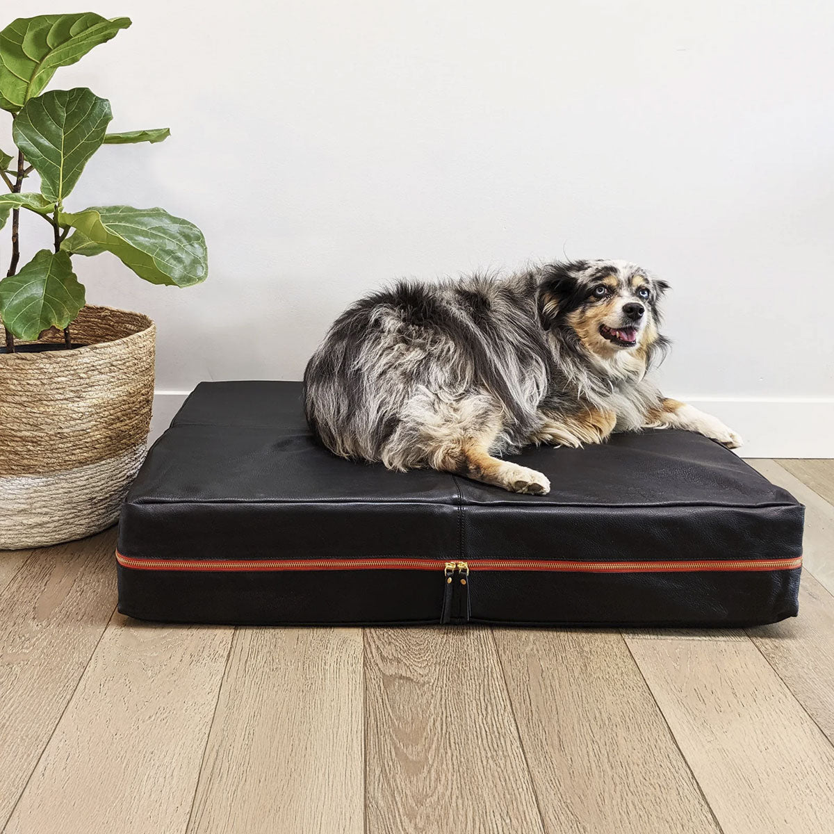 Le Dog - Le Bed Orthopedic Leather Bed
