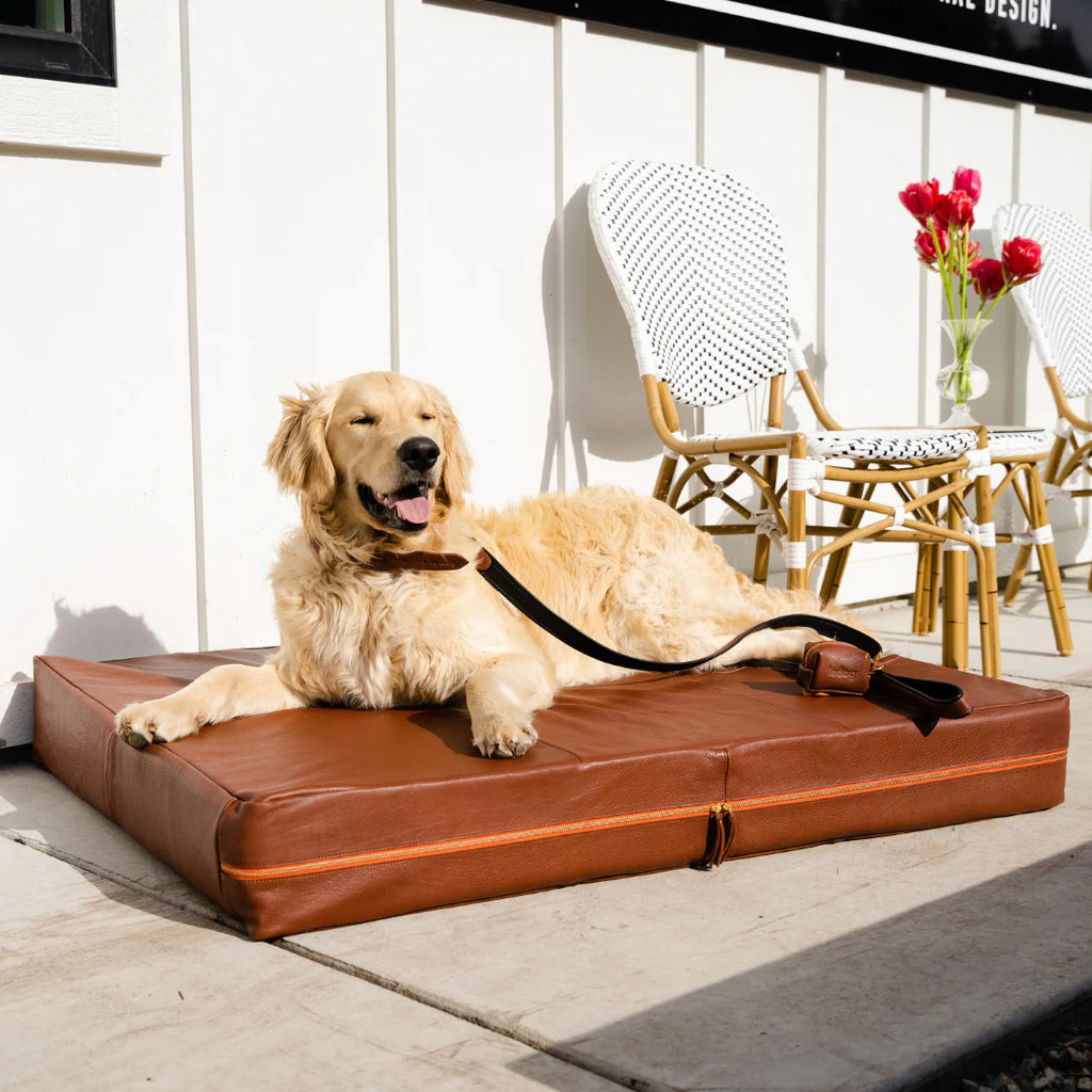 Le Dog - Le Bed Orthopedic Leather Bed
