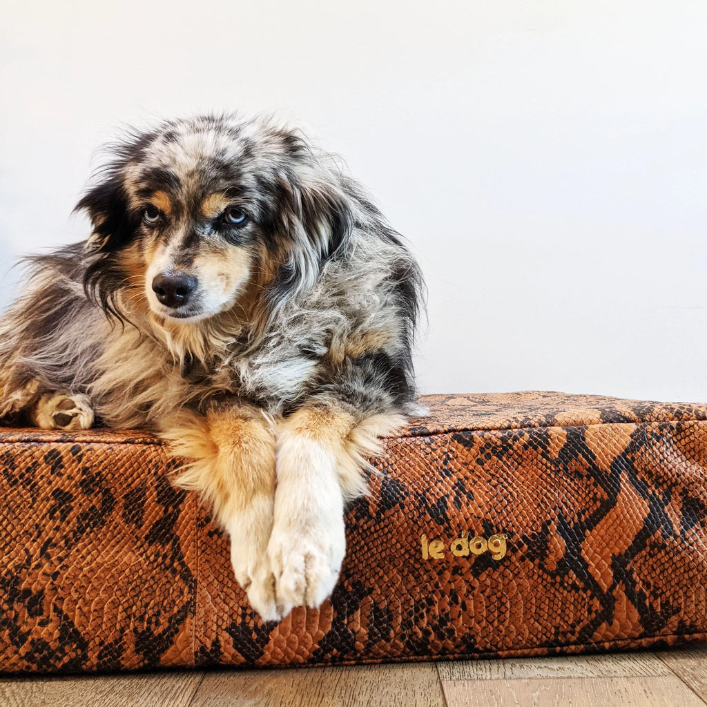 Le Dog - Le Bed Orthopedic Leather Bed