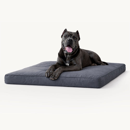 Bully Beds - Chew Proof Dog Bed