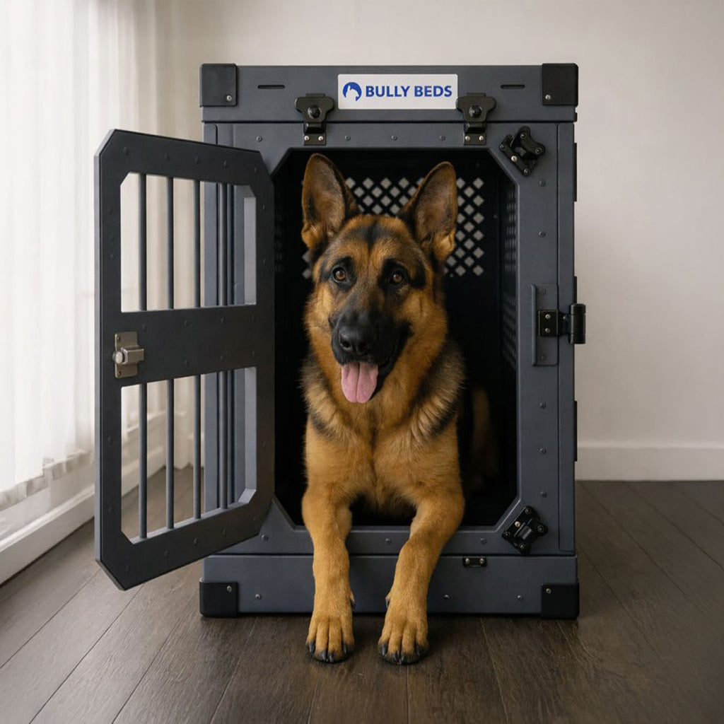 Bully Beds - Collapsible Aluminum Heavy Duty Dog Crate