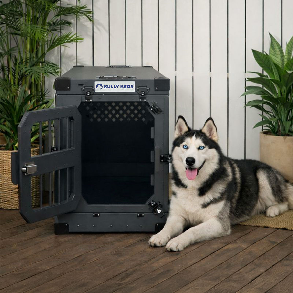 Bully Beds - Collapsible Aluminum Heavy Duty Dog Crate