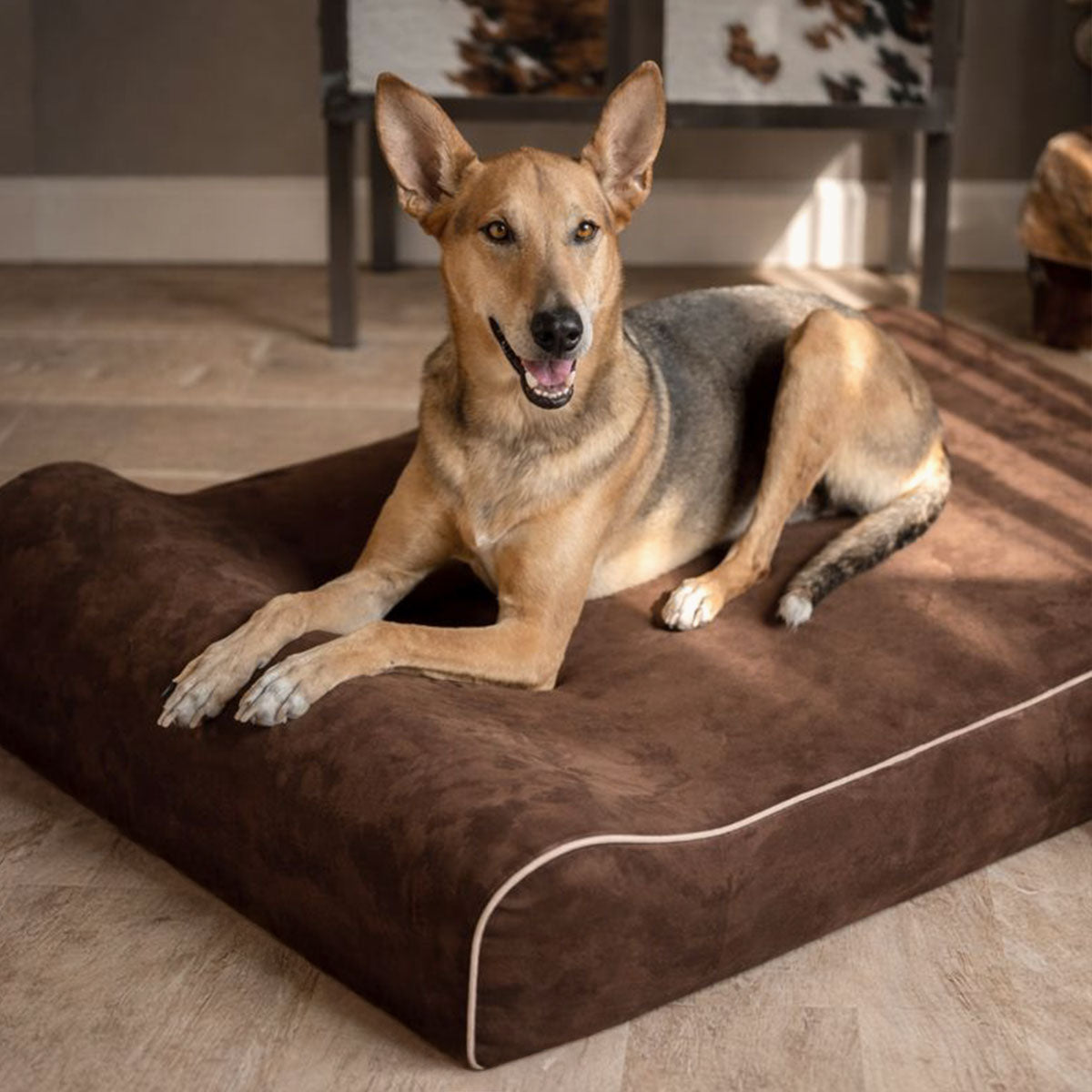 Bully Beds - Infrared Orthopedic Dog Bed