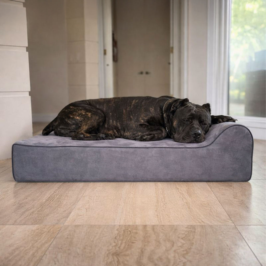 Bully Beds - Infrared Orthopedic Dog Bed