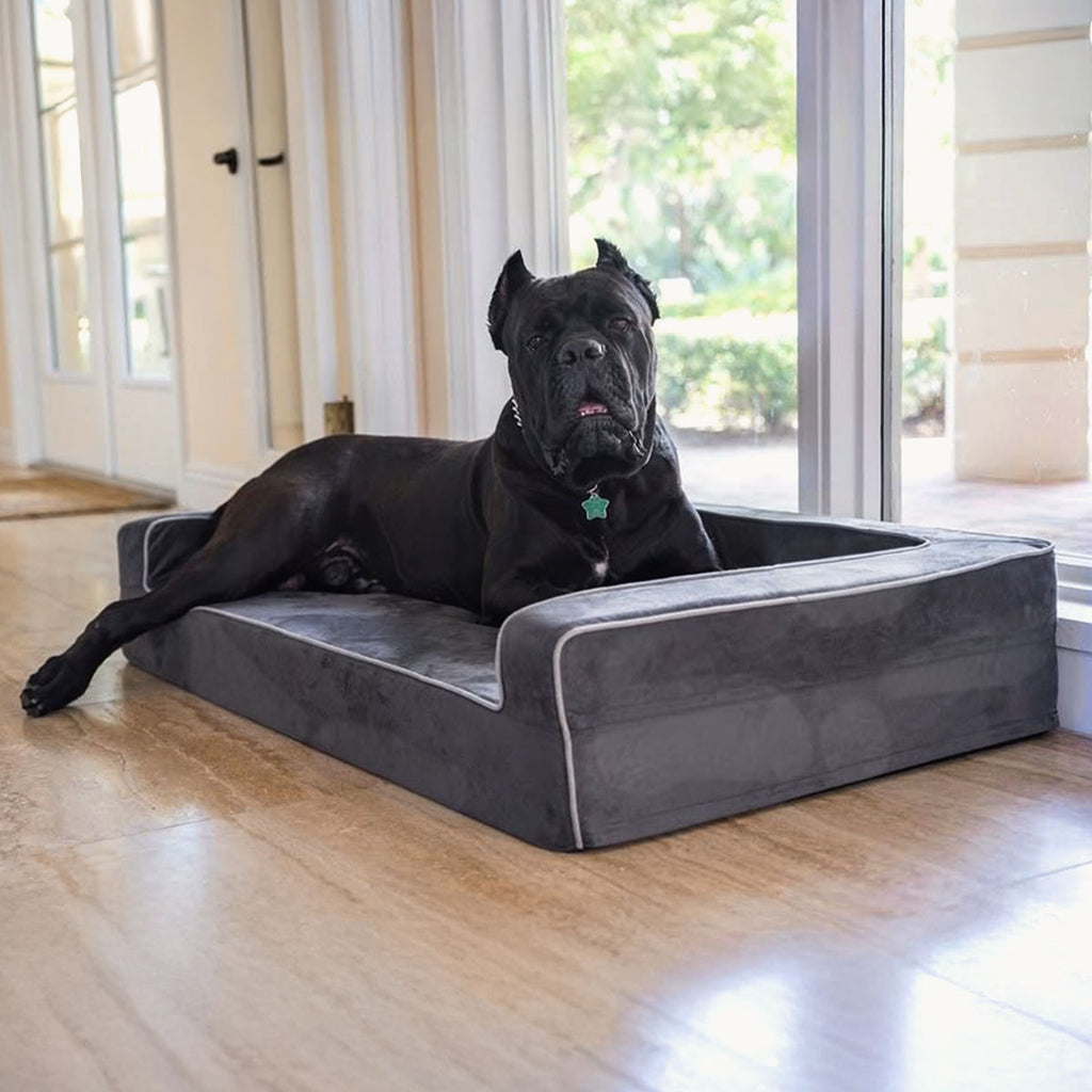 Bully Beds - Orthopedic 3 Sided Dog Bed With Bolsters