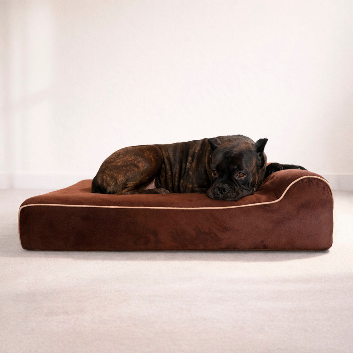 Bully Beds - Orthopedic Original