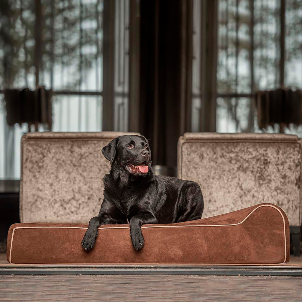 Bully Beds - Orthopedic Original