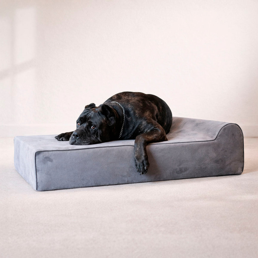 Bully Beds - Orthopedic Original