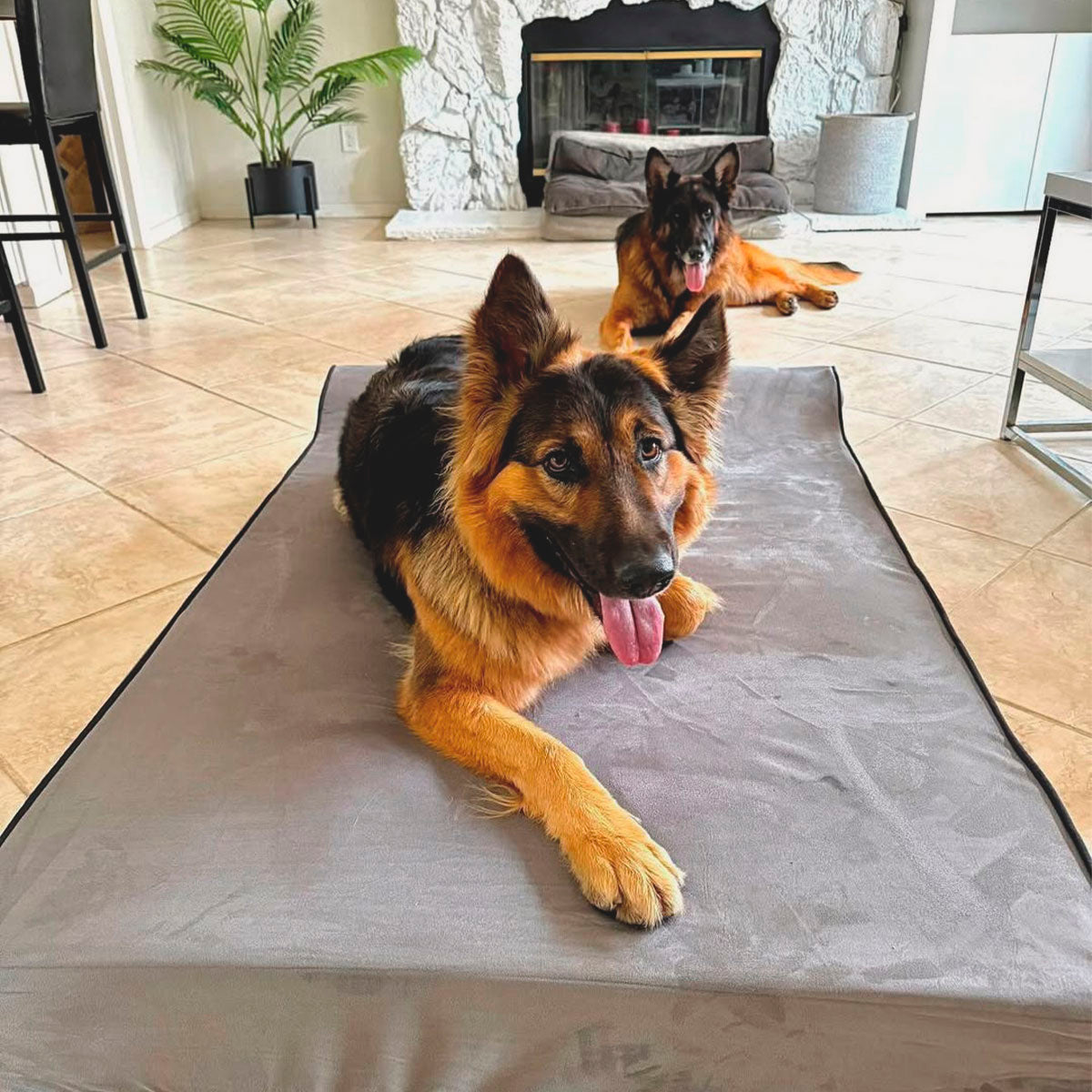 Bully Beds - Orthopedic Original