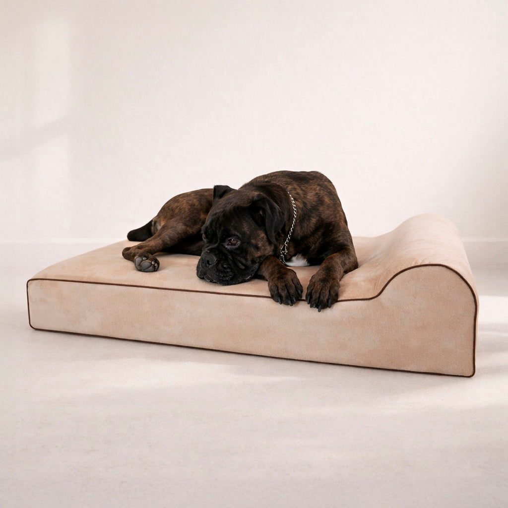 Bully Beds - Orthopedic Original