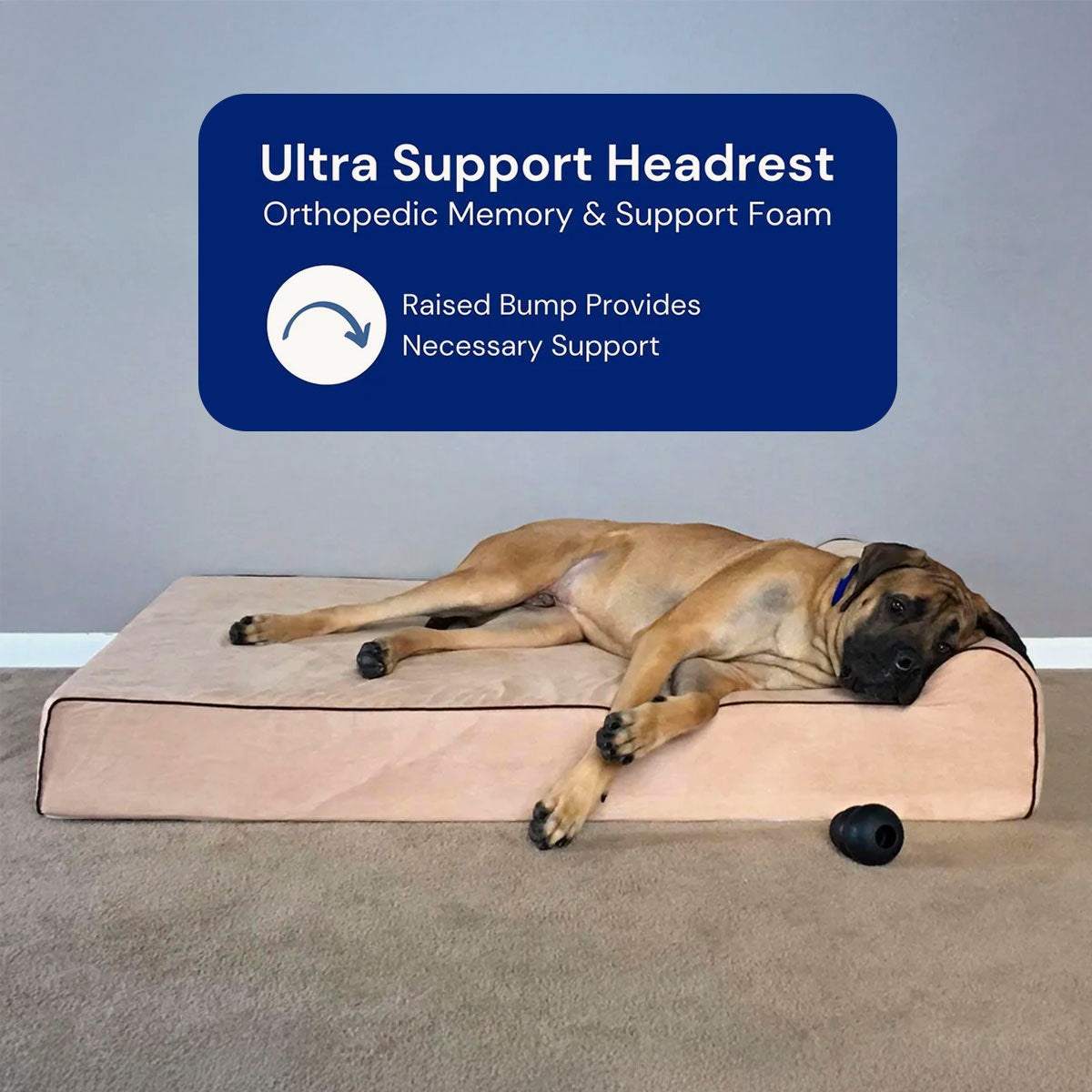 Bully Beds - Orthopedic Original