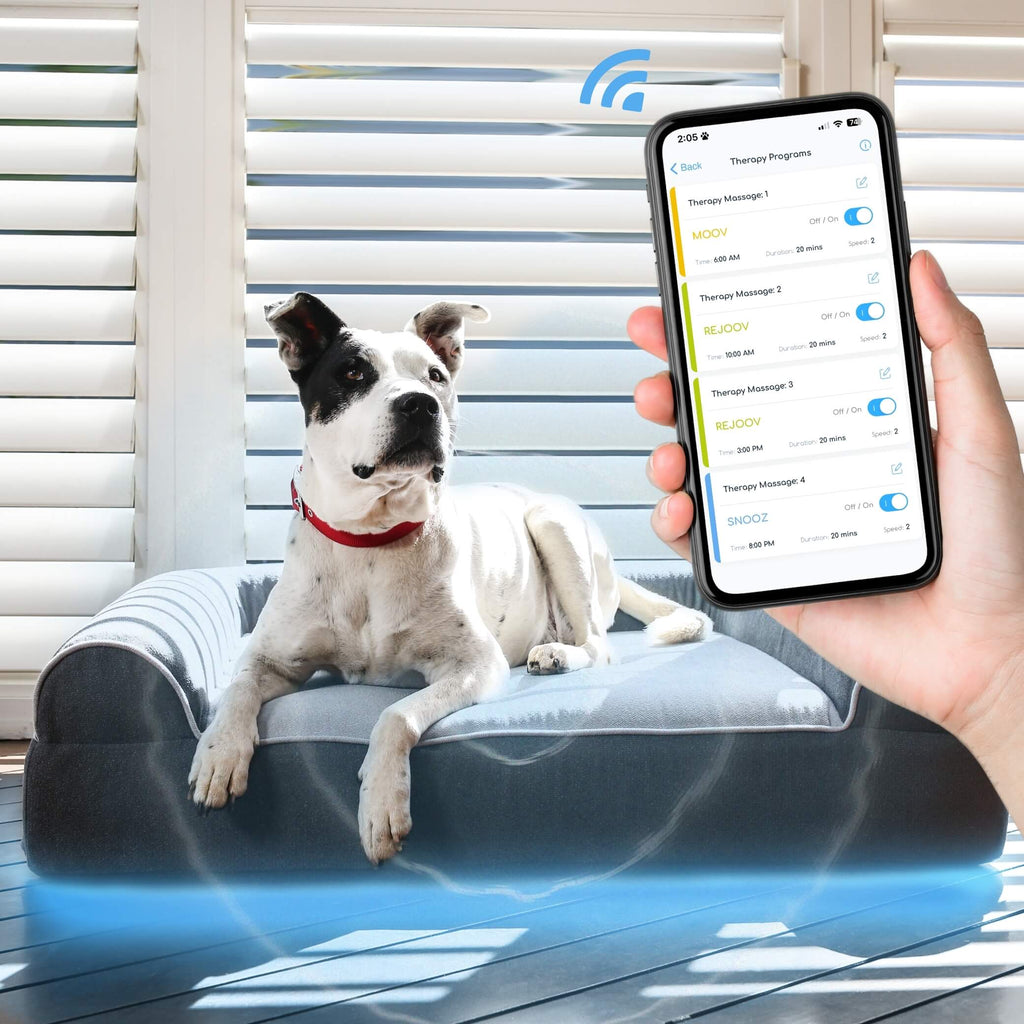 Dog Cloud - Massage Therapy Bed