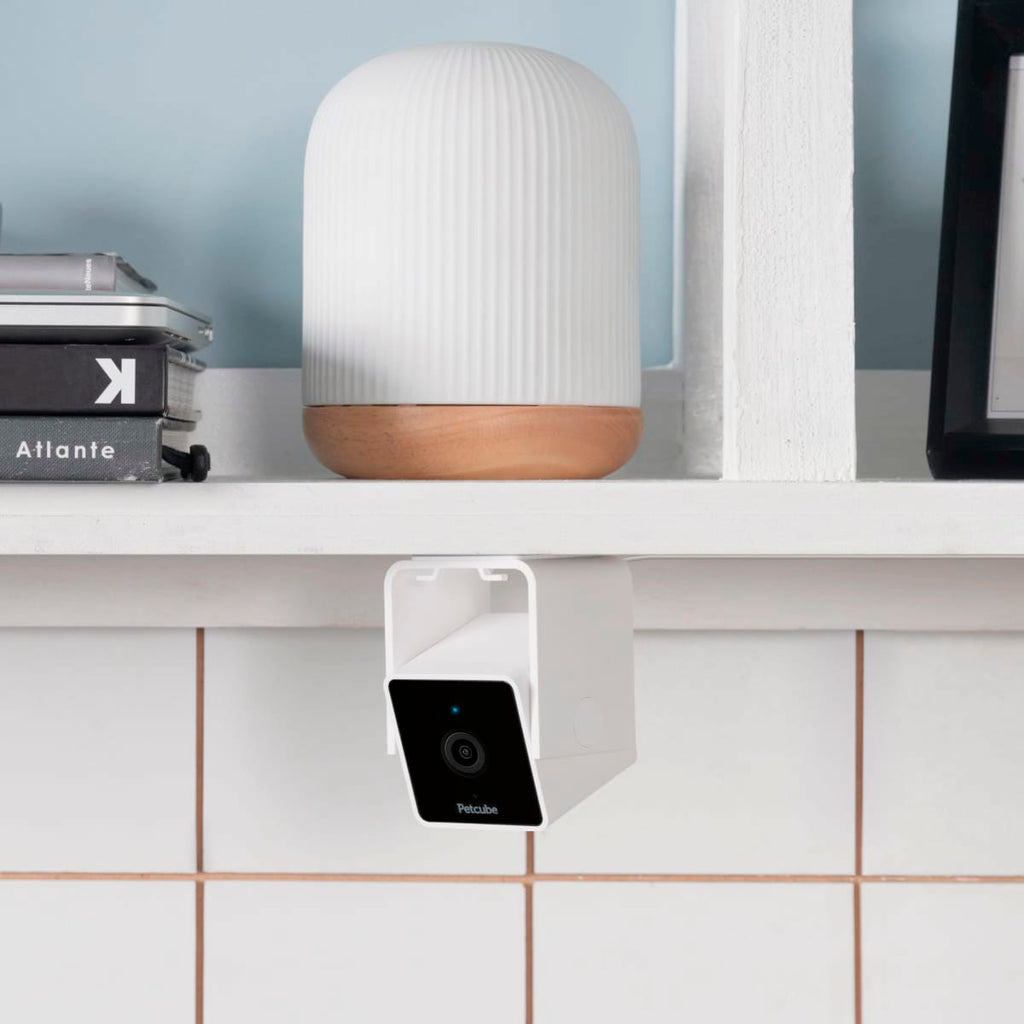 Petcube Cam