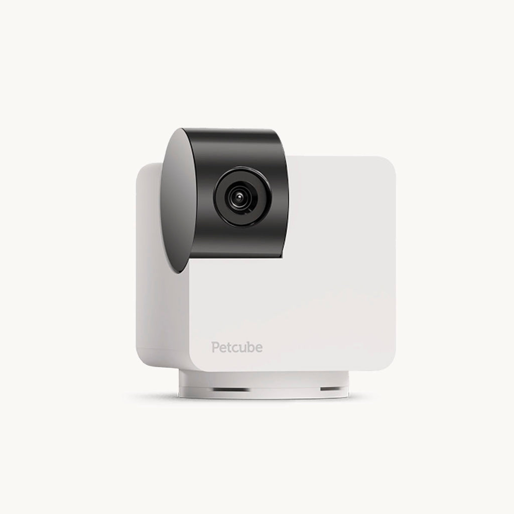 Petcube Cam 360