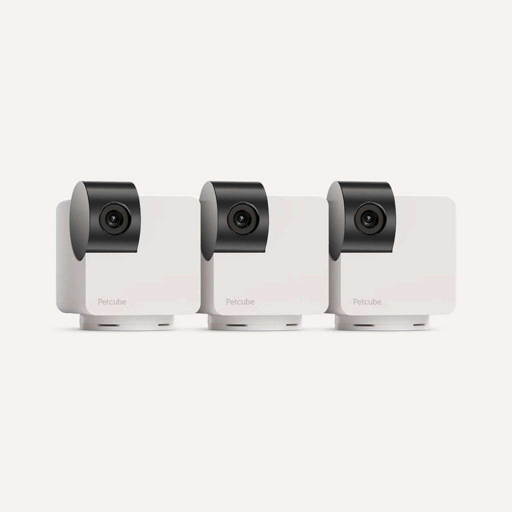 Petcube Cam 360