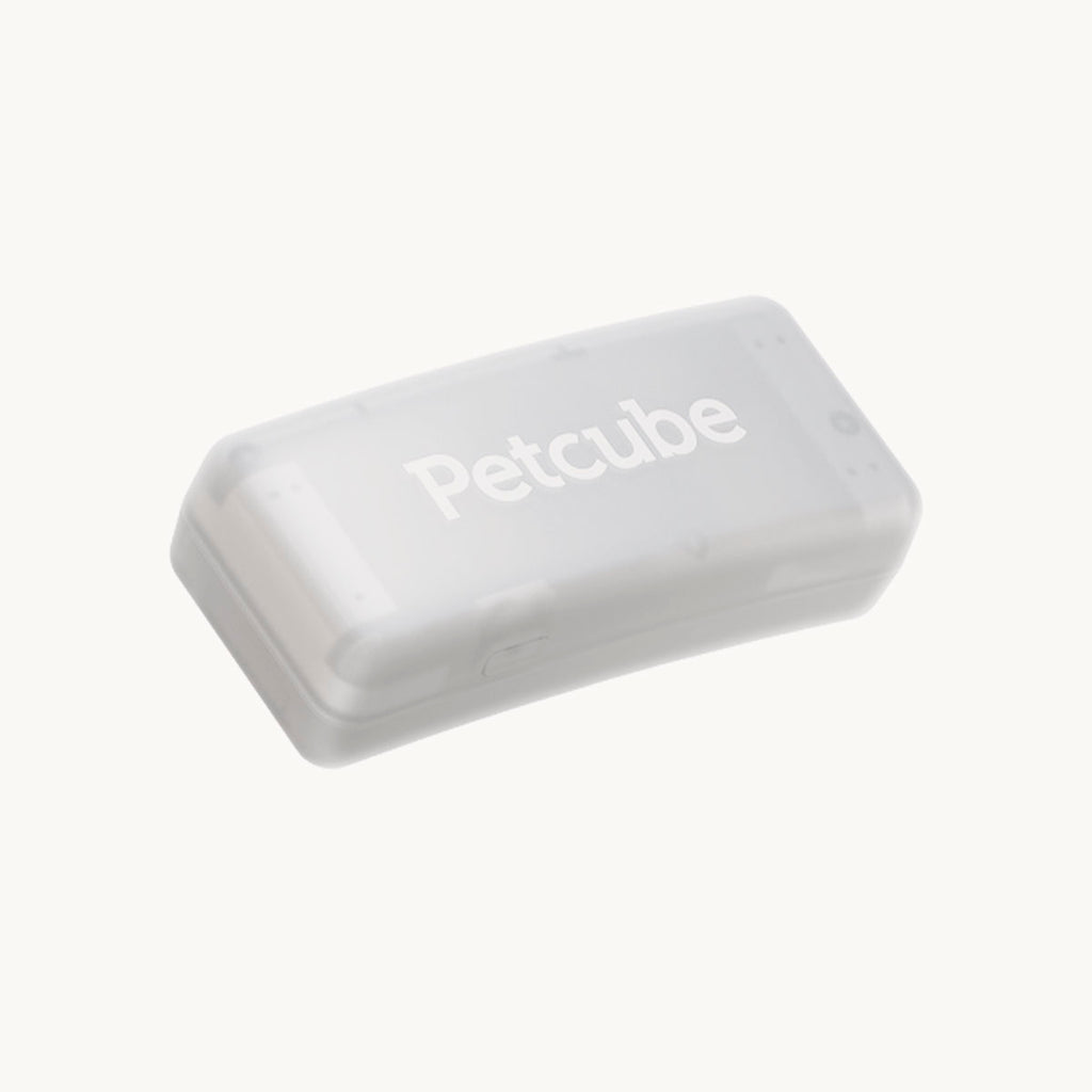 Petcube GPS Tracker