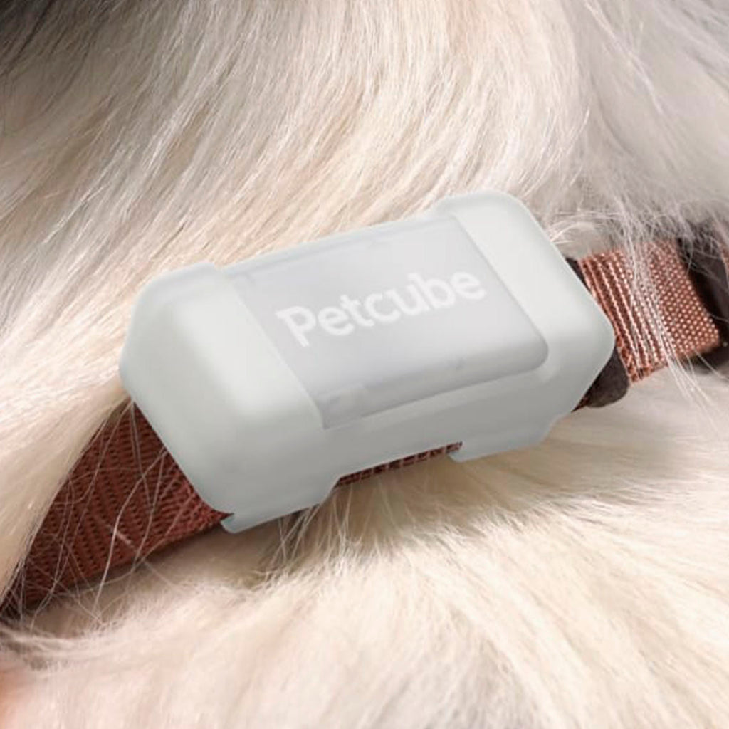 Petcube GPS Tracker