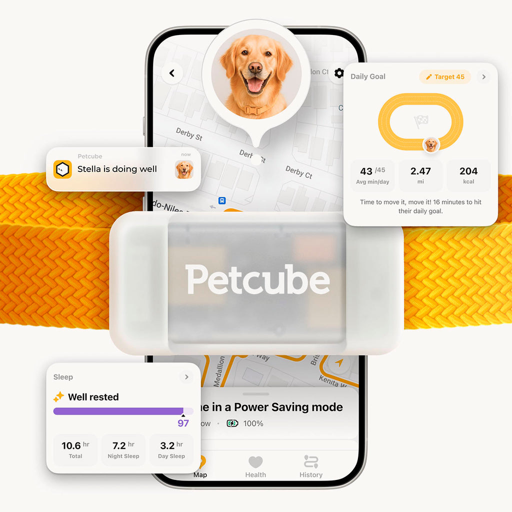 Petcube GPS Tracker