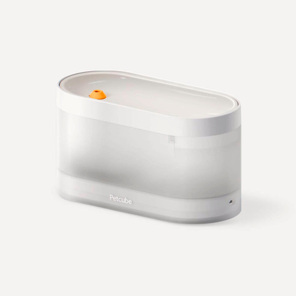 Petcube Smart Pet Fountain